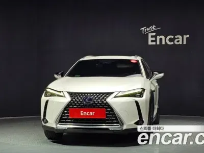 2019 Lexus UX 250h 2.0 AWD, фото 3, лот 10032959