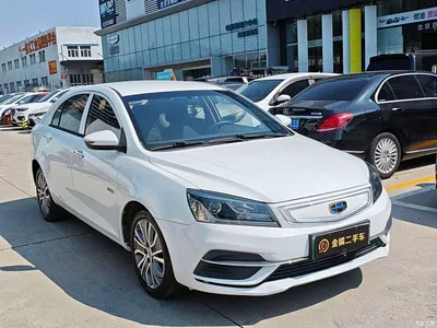 2018 Geely Emgrand New Energy EV450 Progressive, фото 4, лот 11170618