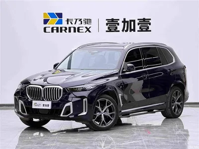 2023 BMW X5 xDrive 30Li Premium M Sport Package, фото 1, лот 11219085