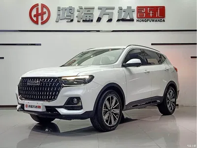 2023 Haval H6 National Trend Edition 1.5T Automatic Champion, фото 1, лот 10401888