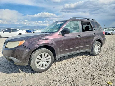 2013 SUBARU FORESTER 2.5X PREMIUM, фото 1, лот 10565520