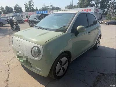 2021 Ora Black Cat 301km Basic Model, фото 1, лот 10330542