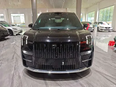2024 ZEEKR 009 6-seat Executive AWD 108kWh, фото 2, лот 10305471