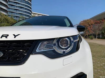 2019 Land Rover Discovery Sport 240PS SE Edition China V, фото 4, лот 10902689
