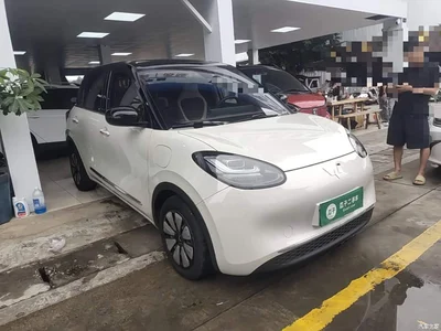 2023 Wuling Motors Wuling Bingo 410km Lingxi Premium Edition, фото 4, лот 10368467