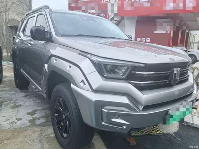 2024 Tank 400 New Energy Hi4-T Off-Road Edition, фото 3, лот 10345055