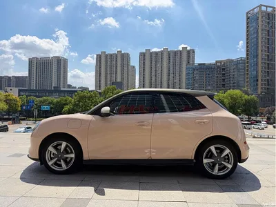 2021 Ora Good Cat 400km Standard Range Official Version (LFP), фото 4, лот 10332213
