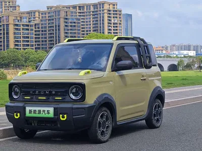 2024 Geely Galaxy Panda 200km Panda Knight, фото 1, лот 10430254