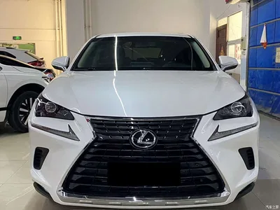 2018 Lexus NX Model 300 FWD Fengxing Edition, фото 1, лот 10319017