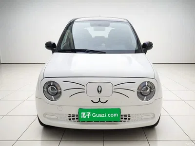 2021 Ora Black Cat 301km Basic Model, фото 2, лот 10387079