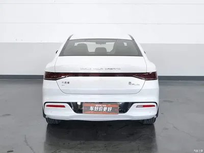 2021 BYD Qin PLUS EV 500KM Luxury Model, фото 4, лот 10401253