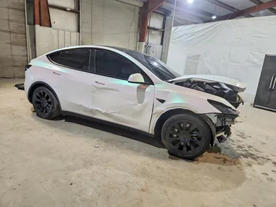 2023 TESLA MODEL Y, фото 4, лот 10851011