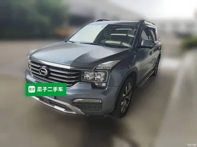2017 GAC Trumpchi Trumpchi GS8 320T 2WD Luxury Smart Connect (7-seater), фото 1, лот 10424016