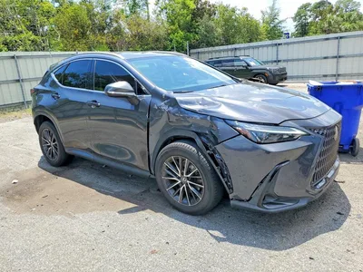 2024 LEXUS NX 250 BASE, фото 4, лот 10901213