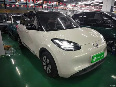 2023 Wuling Motors Wuling Bingo 203km Comfort Version, фото 4, лот 10371894