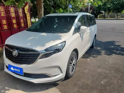 2020 Buick GL8 Model ES Landglory 653T Comfort, фото 1, лот 10250975