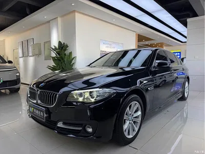 2014 BMW 5 Series 520Li Elegance, фото 1, лот 11519084