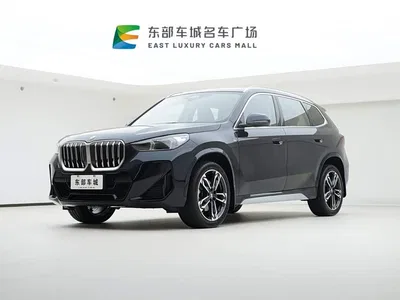 2024 BMW X1 sDrive25Li M Sport Package, фото 1, лот 10413769