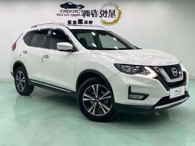 2017 Nissan X-Trail 2.5L CVT Luxury 4WD, фото 3, лот 10343202