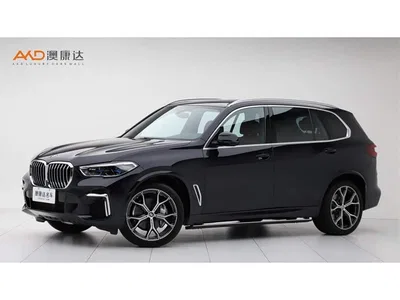 2022 BMW X5 Model xDrive 40Li M Sport Package, фото 1, лот 10319351
