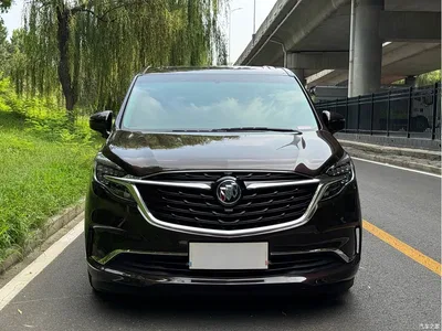 2021 Buick GL8 ES Landlord 653T Comfort, фото 2, лот 10256889