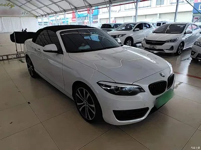 2019 BMW 2 Series (Import) 225i Convertible Coupe Sport Design Package, фото 4, лот 11468497