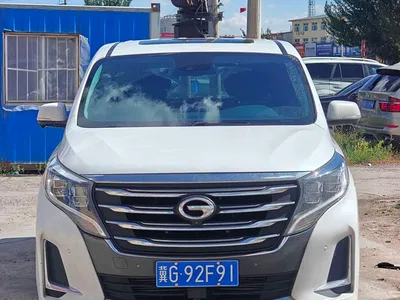 2020 GAC Trumpchi Trumpchi M8 Pilot 390T Flagship Edition, фото 1, лот 11479722