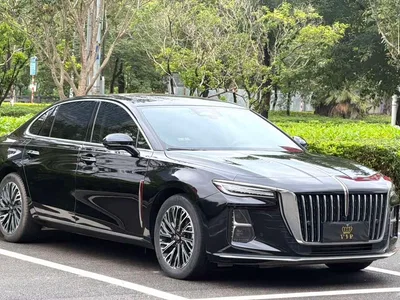 2024 Hongqi H5 2.0T Automatic Smart Connect Flag Smooth Edition, фото 3, лот 10287767