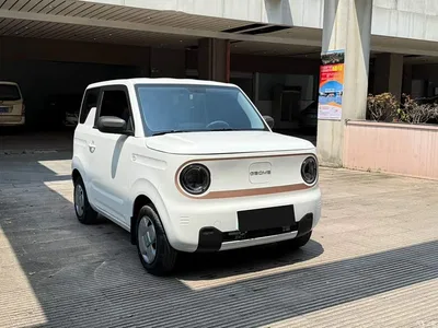 2023 Geely Galaxy Panda Mini 200km Endurance Bear, фото 3, лот 11195222