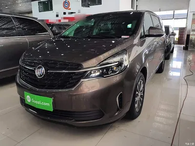 2022 Buick GL8 Land Business Class 652T Luxury, фото 2, лот 10262041