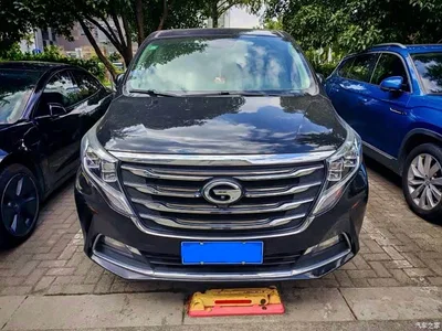 2018 GAC Trumpchi Trumpchi M8 320T Premium Edition, фото 2, лот 11210497