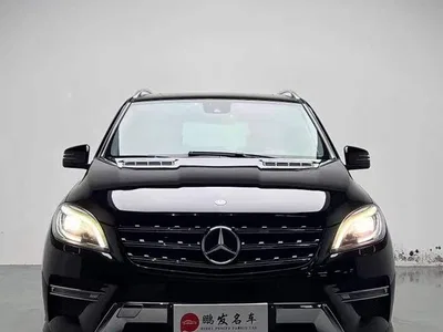 2014 Mercedes-Benz M-Class ML 320 4MATIC, фото 2, лот 10259493