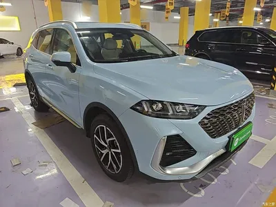 2022 WEY Latte DHT-PHEV 1.5T 2WD Extra Large Cup, фото 4, лот 10958070