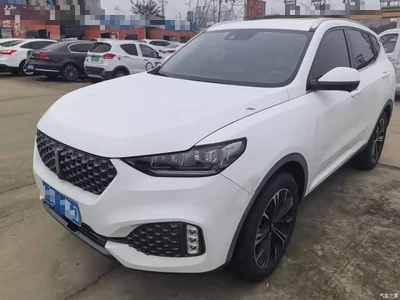 2020 WEY VV6 2.0T 2WD Smart Protection+, фото 2, лот 11006712