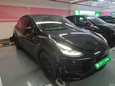 2021 Tesla Model Y Standard Range Rear-Wheel Drive, фото 4, лот 10370504