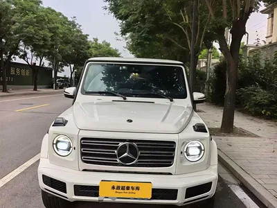 2019 Mercedes-Benz G-Class Facelift G 500, фото 2, лот 10280917