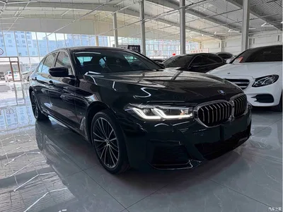 2021 BMW 5 Series 530Li xDrive M Sport Package, фото 3, лот 10612184