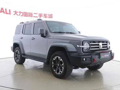 2024 Tank 300 New Energy Hi4-T, фото 3, лот 10344623