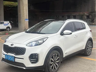2016 Kia KX5 Model 1.6T Automatic 2WD DLX, фото 1, лот 10335349