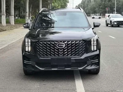 2022 GAC Trumpchi Trumpchi GS8 Pilot Series 2.0TGDI 2WD Luxury Smart Connect Edition (7-Seater), фото 2, лот 10420280