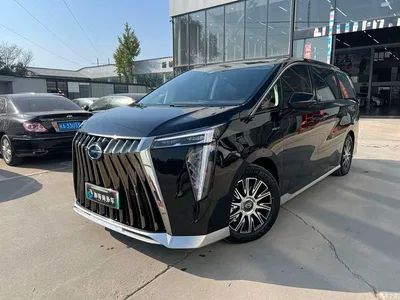 2023 GAC Trumpchi Trumpchi E9 E9 Grandmaster, фото 1, лот 11585124