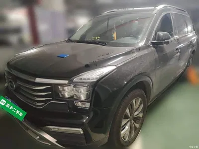 2017 GAC Trumpchi Trumpchi GS8 320T 2WD Luxury Smart Connect (7-seater), фото 1, лот 10343547
