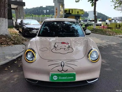 2021 Ora Good Cat 400km Standard Range Muse Edition (LFP), фото 3, лот 10330735