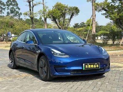 2019 Tesla Model 3 (Import) Standard Range RWD Upgraded Edition, фото 1, лот 10351799