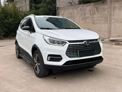 2019 BYD Yuan New Energy EV535 High Energy Navigation Edition, фото 1, лот 11227694