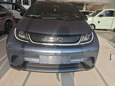 2024 BYD Dolphin Glory Edition 420km Fashion Edition, фото 3, лот 11138856