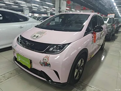 2024 BYD Dolphin Glory Edition 420km Freedom Edition, фото 2, лот 10260501