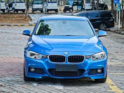 2019 BMW 3 Series 320Li M Luxury Package, фото 3, лот 11496942
