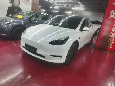 2024 Tesla Model Y Rear-Wheel Drive Version, фото 2, лот 10441046
