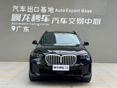 2023 BMW X5 xDrive 40Li M Sport Black Night Package, фото 2, лот 11568606